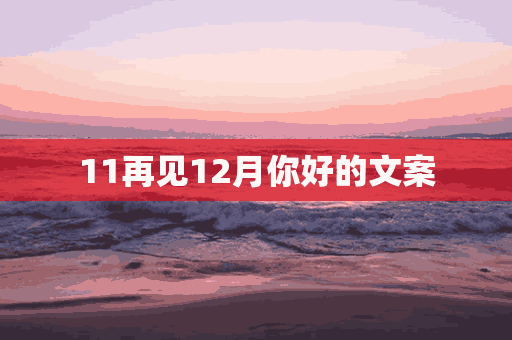 11再见12月你好的文案(11再见12月你好唯美朋友圈语录句子大全精选)